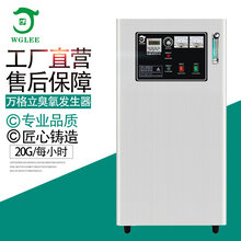 广西养殖场专用20G臭氧发生器空间杀菌除臭消毒机污水处理降解氨氮除臭味图片