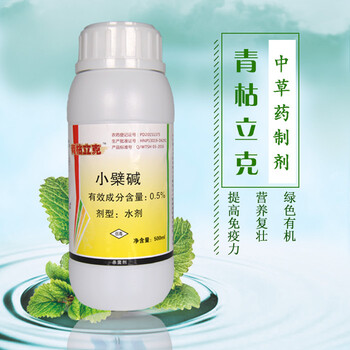 溫室西瓜病害預防，從源頭抓起