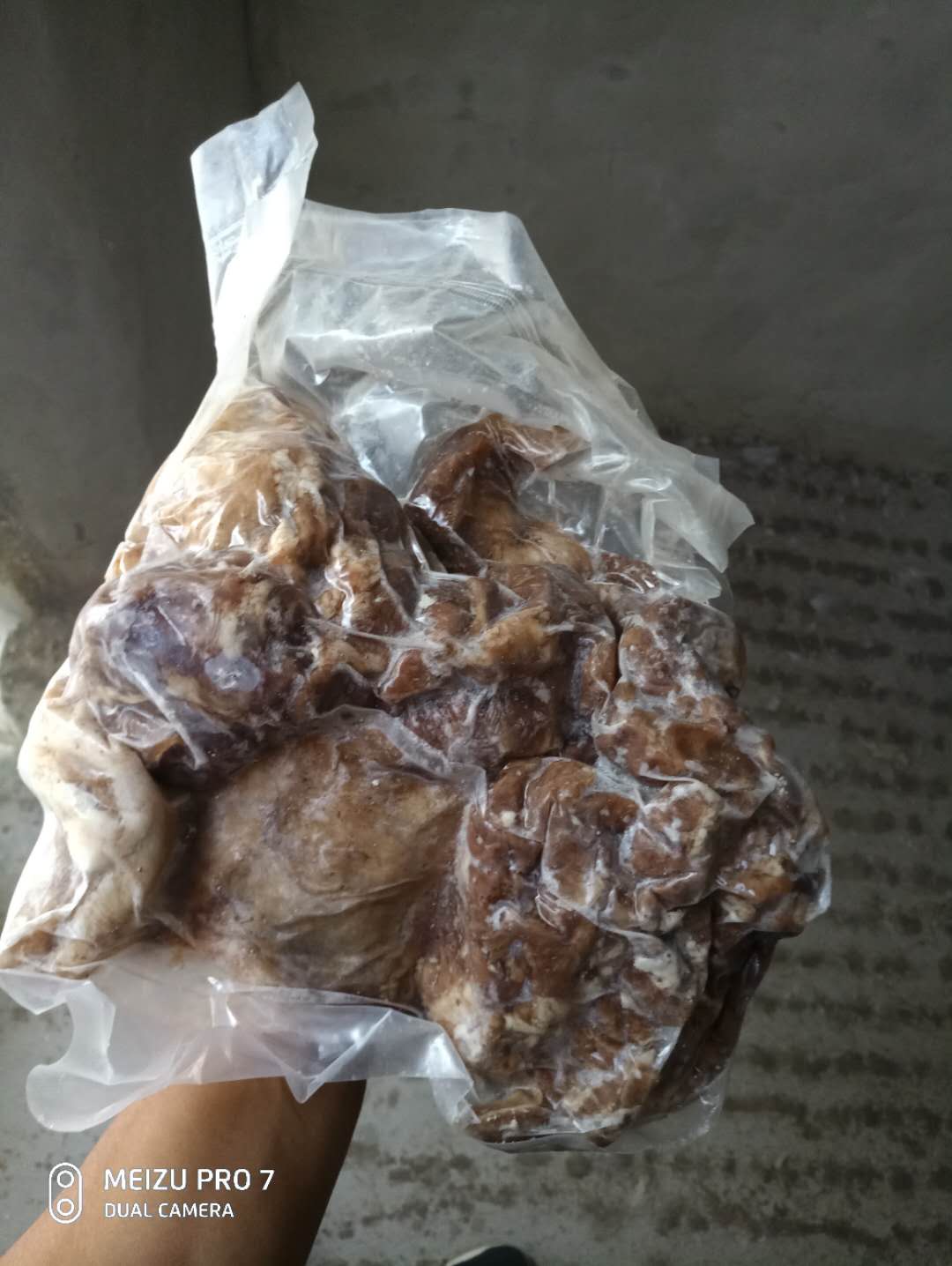 漯河羊肉熟羊肉呼和浩特