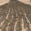 廠家特供云南紅河顆粒有機肥發酵肥可生產價格可議保質量