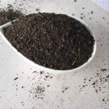 厂家邓州鸡粪邓州发酵肥邓州有机肥邓州菌肥质量图片3