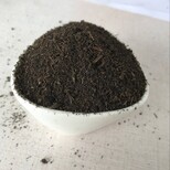 厂家邓州鸡粪邓州发酵肥邓州有机肥邓州菌肥质量图片1