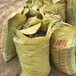 大量批发发酵鸡粪有机肥料种植花卉小麦玉米通用价格可议