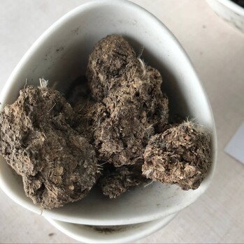發(fā)酵有機(jī)肥的作用高溫腐熟發(fā)酵殺蟲(chóng)害不燒苗發(fā)酵池發(fā)酵