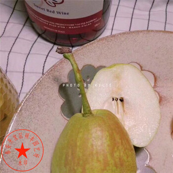 三年生夏玉梨樹(shù)苗怎么成活率高