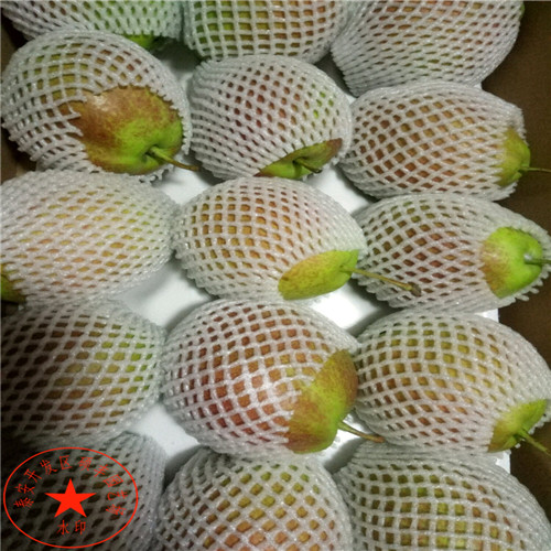 五公分早紅玉 梨樹苗產地報價