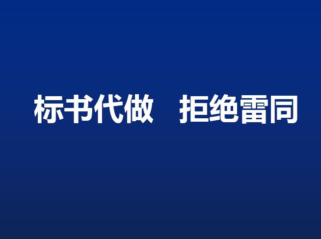 怀宁县写标书样本