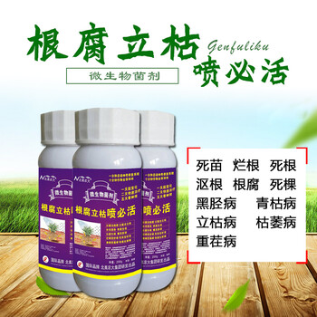 根腐立枯噴必活
