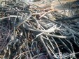 石家庄电缆回收废旧电缆回收废电线电缆回收铜铝废料回收图片