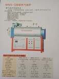 百阳丰电加热蒸汽锅炉LDR0.3-0.4图片0