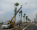 绍兴嵊州太阳能户外路灯价格绍兴嵊州路灯供货商