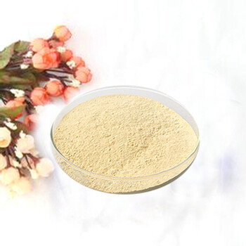 對羥基苯甲醛生產(chǎn)廠家CAS號:	123-08-0