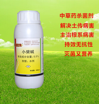 草莓畸形果有哪些原因怎么預(yù)防