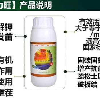 用微生物菌劑調(diào)理土壤壯根，改善植物長勢
