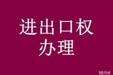 没有大动作哪敢惊动您隆杰免费注册公司图片3