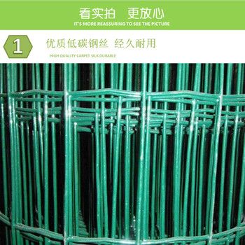 荷蘭網(wǎng)廠家PVC涂塑荷蘭網(wǎng)荷蘭網(wǎng)價(jià)格養(yǎng)殖網(wǎng)圈地網(wǎng)