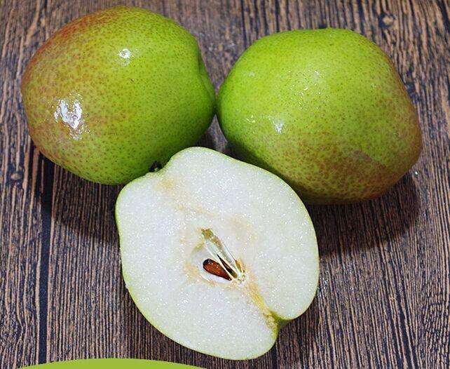 8公分紅香酥梨樹(shù)價(jià)格