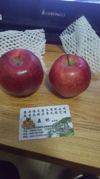 4公分蘋果樹怎么樣、4公分蘋果樹品種介紹