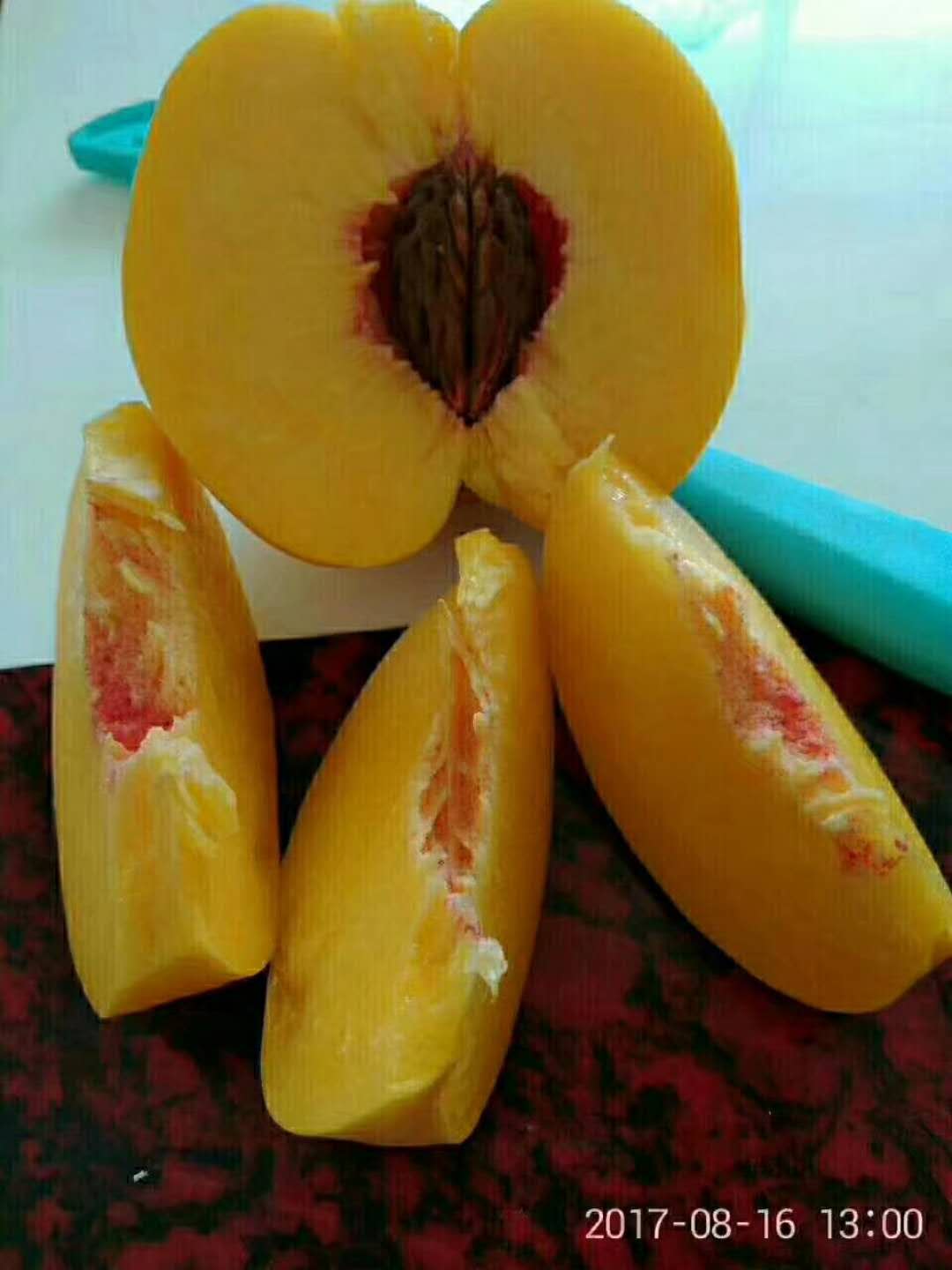 3公分突圍桃樹一畝地種植多少棵