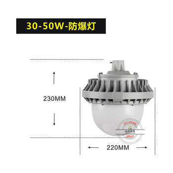 防爆灯具XQL9822_工业40W防爆灯具