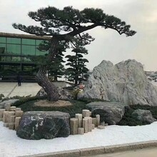 雪浪石假山石风景石自然石酒店小区景观石石雕景观石摆件雕刻小块雪浪石