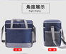 上海方振箱包定制专业户外野餐包冰包冰袋可加logo