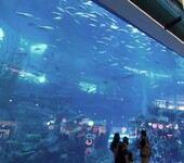 2020上海国际水族用品展览会