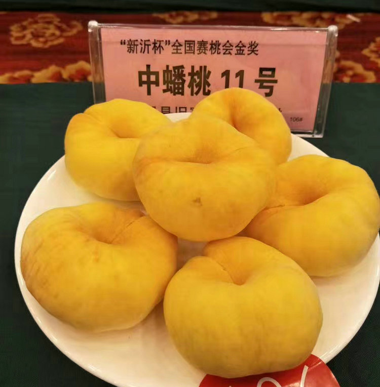 6公分桃樹(shù) 6公分桃樹(shù)種植基地