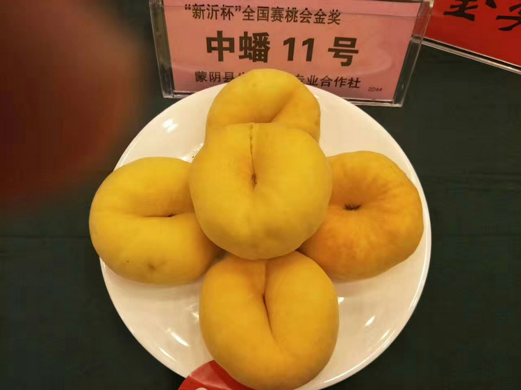 6公分桃樹 6公分桃樹批發 
