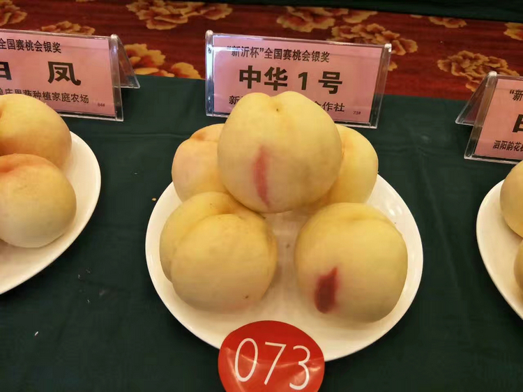 8公分桃樹批發(fā)、8公分桃樹價(jià)格表