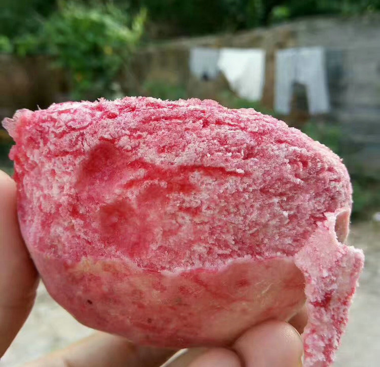 桃樹小苗_桃樹小苗基地