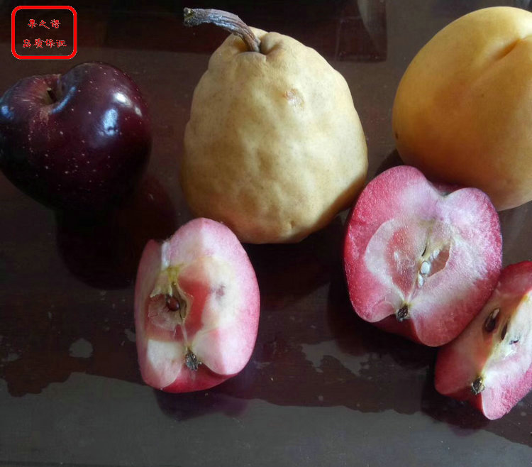 太极红苹果苗供应、太极红苹果苗多少钱一棵