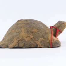 鬼斧神工——龟型奇石
