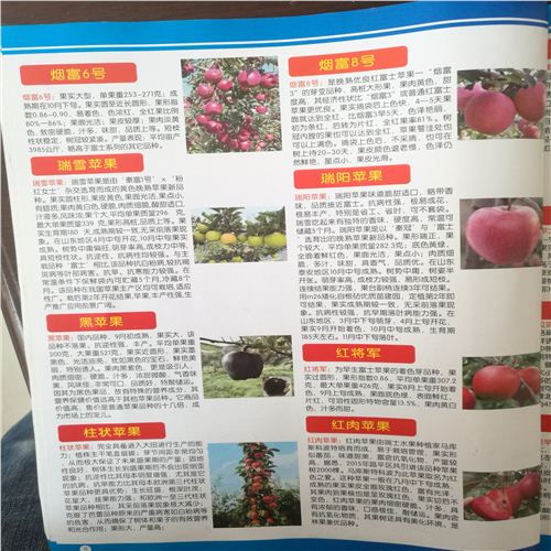 錦繡海棠樹剪枝技術(shù)