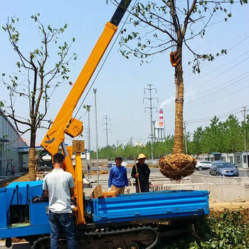 江蘇安徽吊車吊運(yùn)機(jī)隨車吊