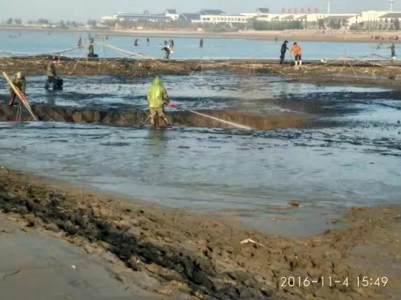 色达县乡镇河道清淤工程量-色达县信息发布