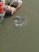 安徽滁州水下录像_河道_水池_管道清淤疏浚公司/联系电话