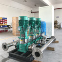 兩用一備MVI5207威樂(lè)農(nóng)村自來(lái)水供水泵組