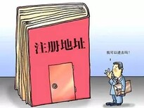 图片0