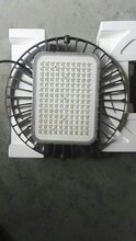 飞利浦BY698PLED高天棚灯85W120W160W230W图片