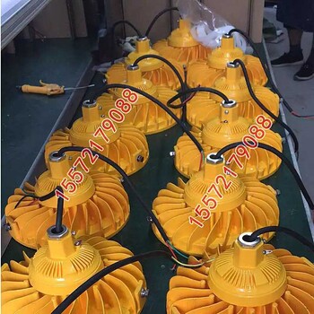 壁掛式LED防爆泛光燈100W