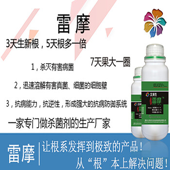 番茄早晚疫病的案例及治療方案