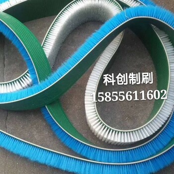 皮帶刷輸送皮帶毛刷