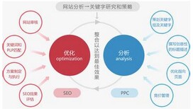 深圳帝国网站优化图片1