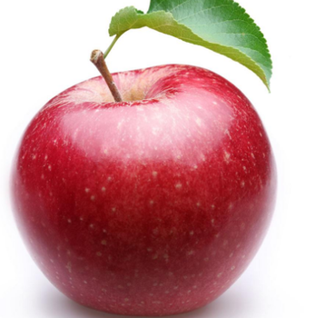 苹果出口报关怎么操作果园出口苹果需具备什么资质