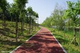 石家庄公园健身步道，彩色塑胶防滑高弹性运动场地设计施工与维修