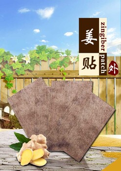 廠家批發(fā)姜貼生姜足貼暖貼木醋帖暖腳貼暖身貼代加工OEM