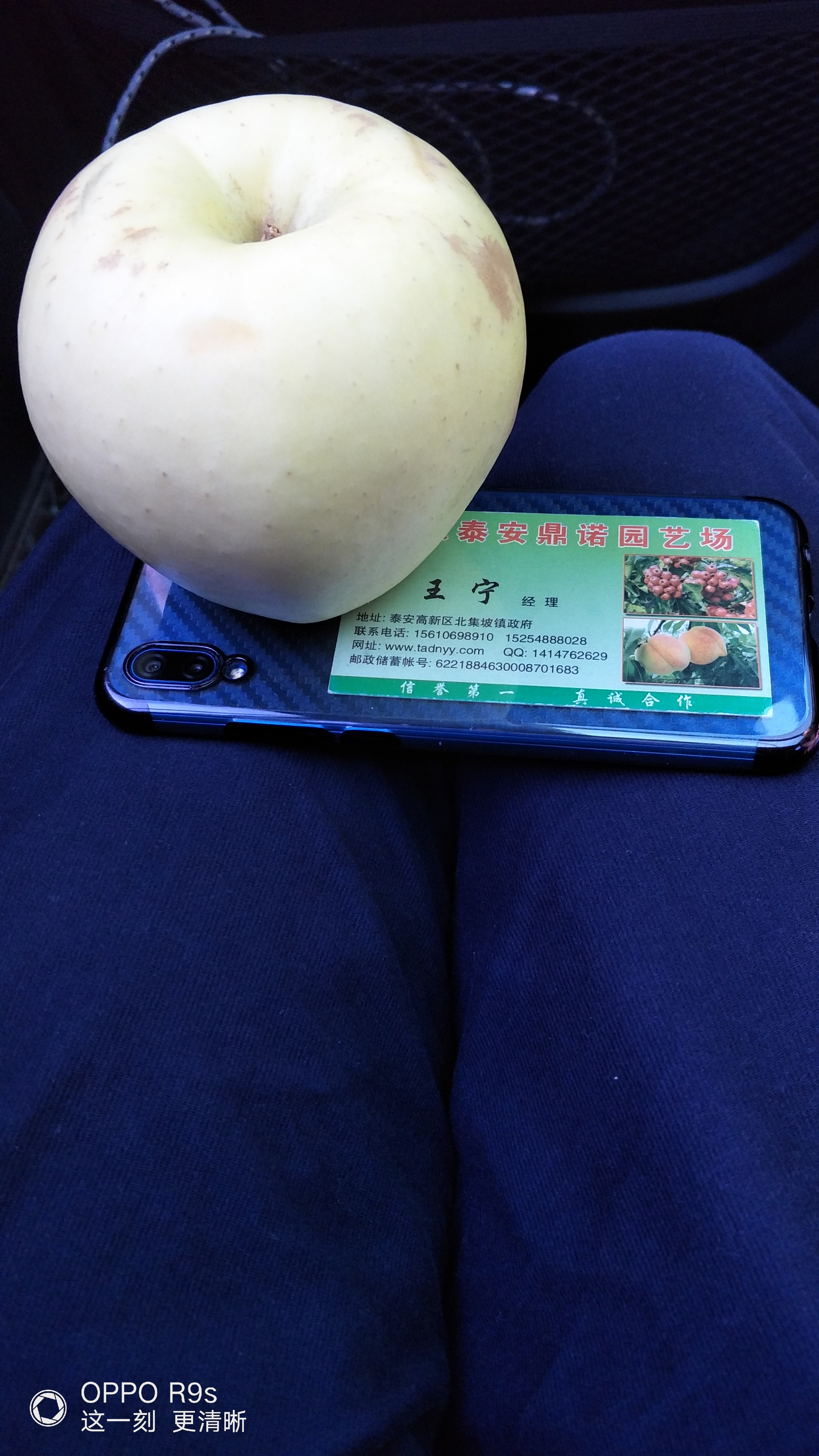3公分的美國紅星蘋果苗行距多少