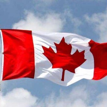一家三口办加拿大旅游签证，可以由一个人去签证中心递交材料吗？