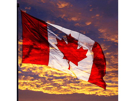 退休老人去加拿大旅游怎么申请签证